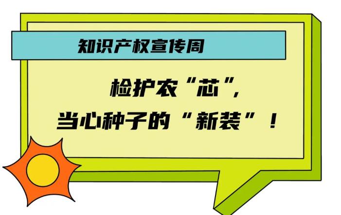 漫画丨检护农 “芯” ,当心种子的 “新装”!