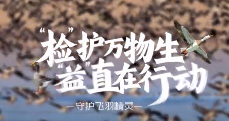 “检”护万物生,“益”直在行动——守护飞羽精灵