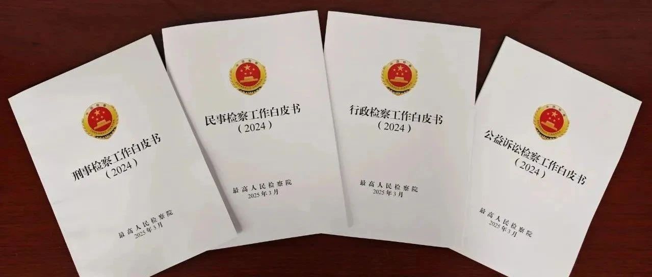 最高检发布2024年“四大检察”工作白皮书:透过数据和案例看“2024检察答卷”