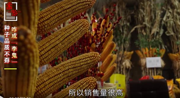 案“鉴”|种子品质不孬,咋就成了“李鬼”?